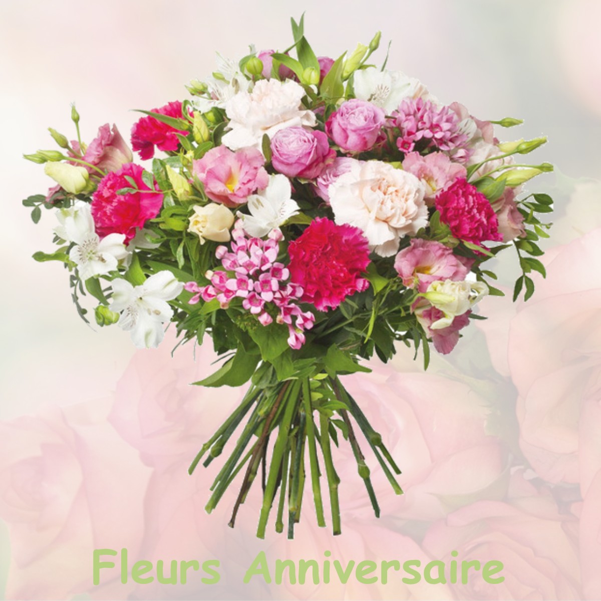 fleurs anniversaire MONTEGUT-PLANTAUREL